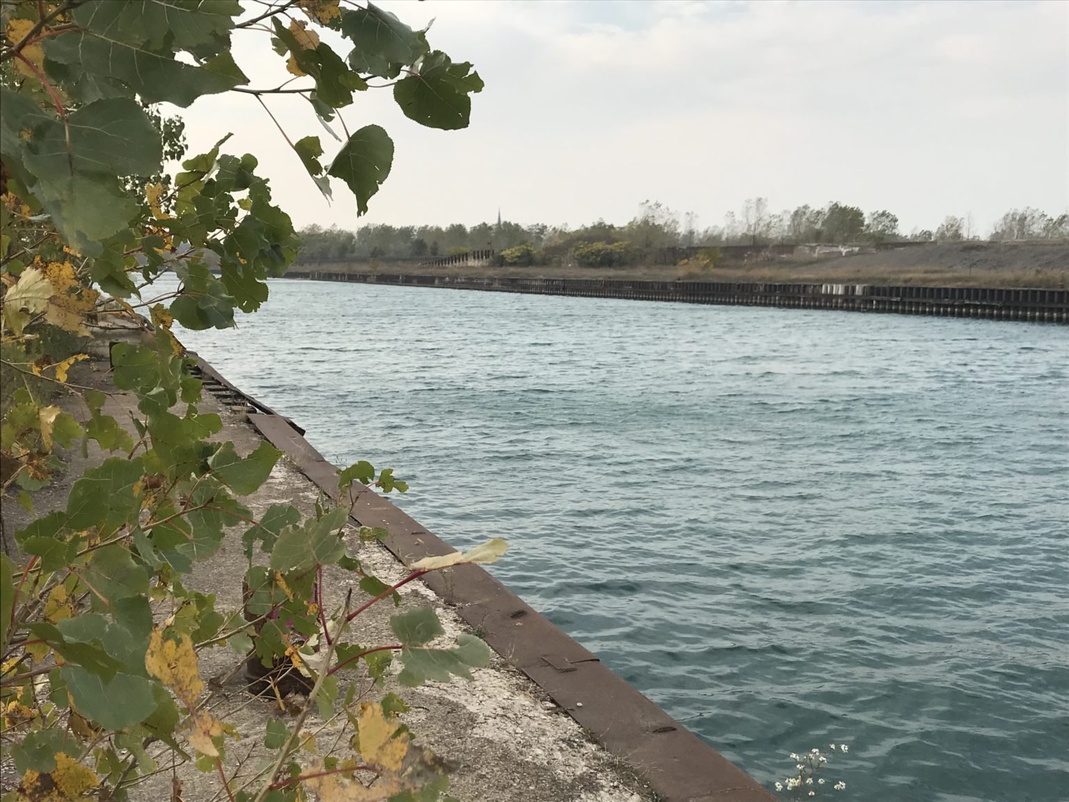 South Shore Nature Sanctuary
